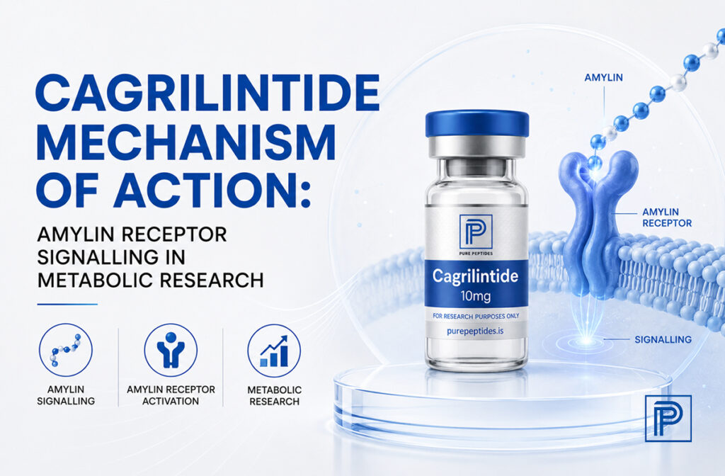 cagrilintide-mechanism-of-action