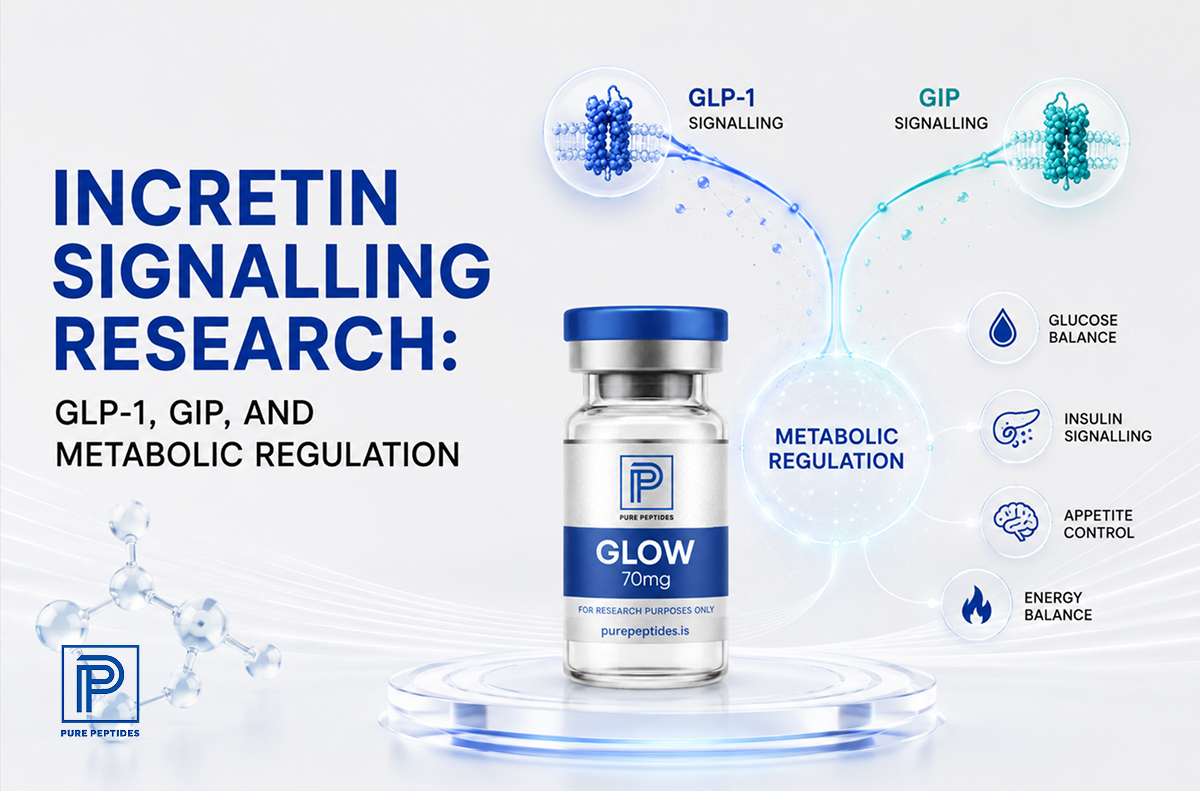 Incretin Signalling Research: GLP-1, GIP, and Metabolic Regulation
