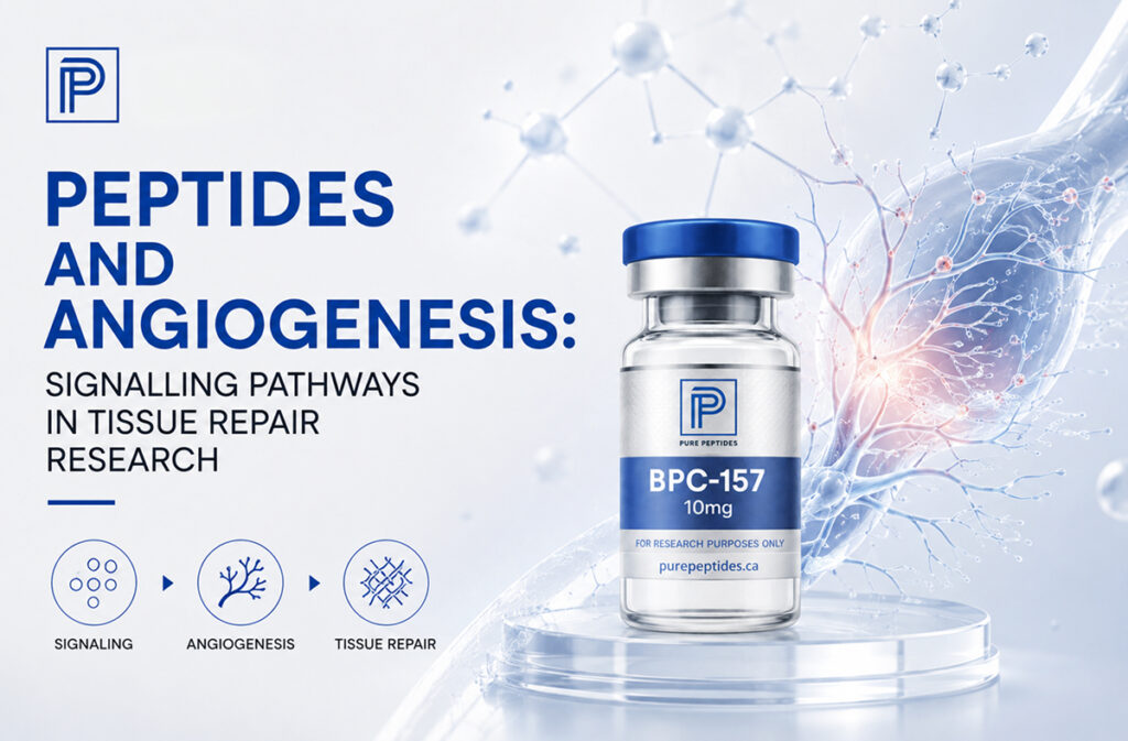 peptides-and-angiogenesis