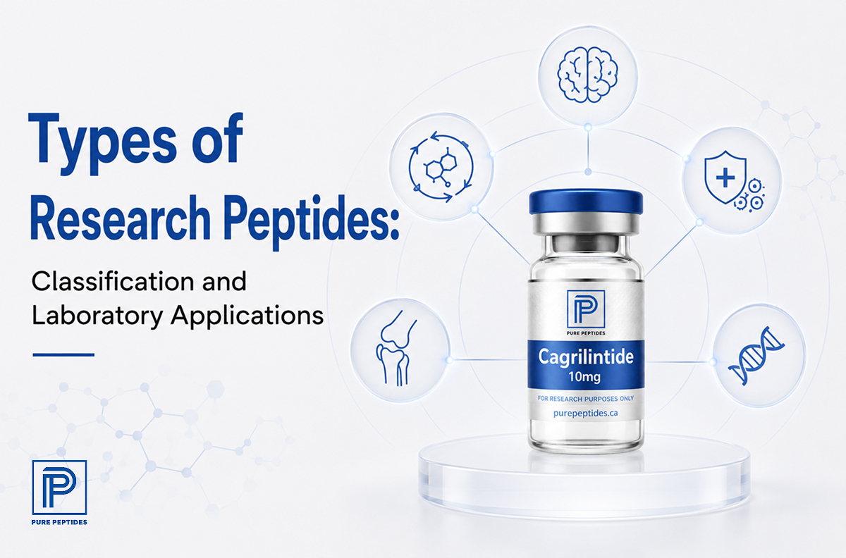 Types of Research Peptides: Classification and Laboratory Applications